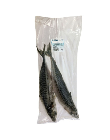 Mackerel 2 pieces package Ocean price per kg